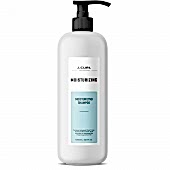 Увлажняющий шампунь J.CURL Moisturizing Shampoo для сухих обезвоженных волос, 1000 мл - site41.local - Алматы