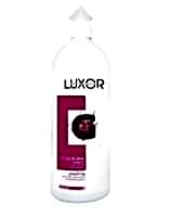 Шампунь для сохранения цвета окрашенных волос Luxor Color Save 1000 мл - site41.local - Алматы