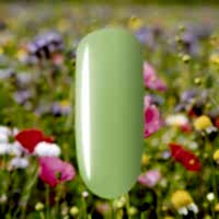 Гель-лак Patrisa Nail "Времена года" Русское поле Пастельный зеленый, 8 мл - site41.local - Алматы